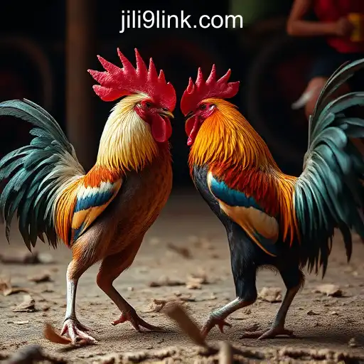 Gaming Experience JiLi9 Online Casino Philippines - 800+ Premium and Exclusive Games